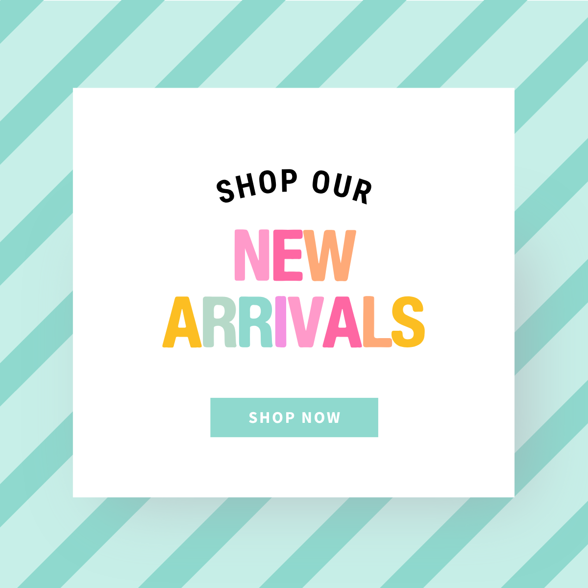 New Arrivals